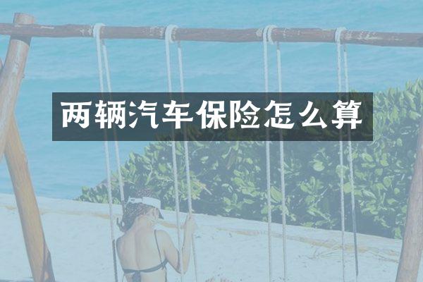 两辆汽车保险怎么算