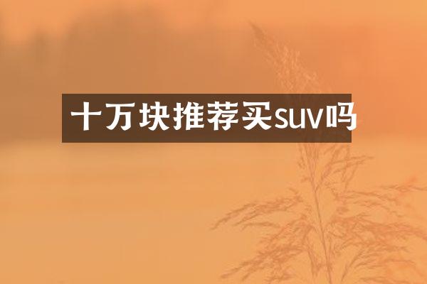 十万块推荐买suv吗