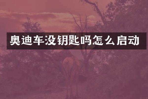 奥迪车没钥匙吗怎么启动