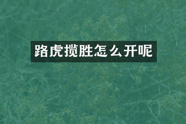 路虎揽胜怎么开呢