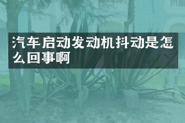 汽车启动发动机抖动是怎么回事啊