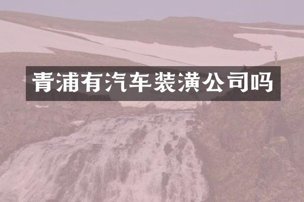 青浦有汽车装潢公司吗