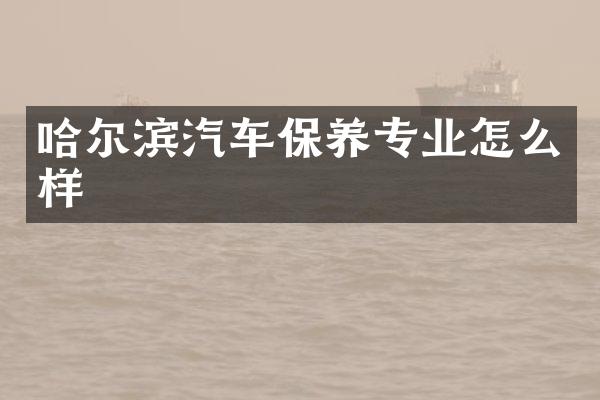 哈尔滨汽车保养专业怎么样