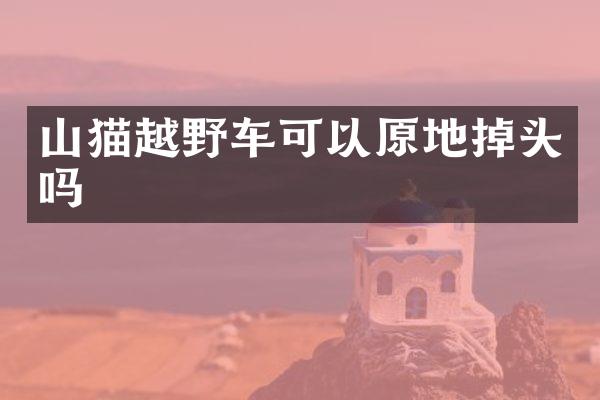山猫越野车可以原地掉头吗