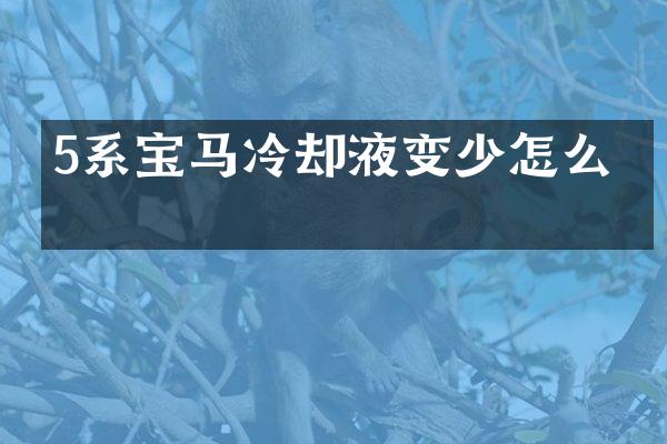 5系宝马冷却液变少怎么办