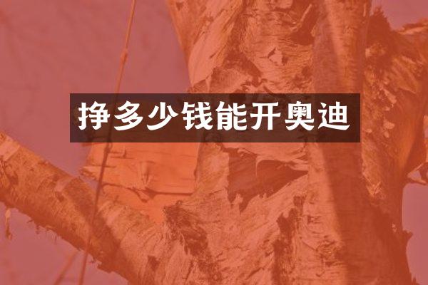挣多少钱能开奥迪