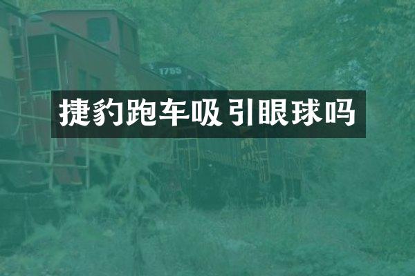 捷豹跑车吸引眼球吗