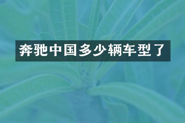 奔驰中国多少辆车型了