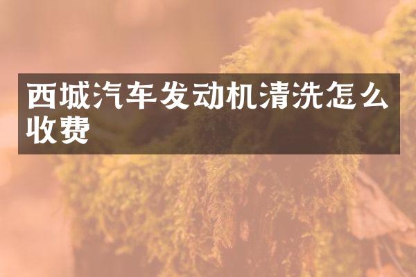 西城汽车发动机清洗怎么收费