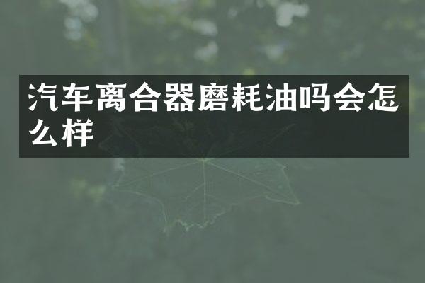 汽车离合器磨耗油吗会怎么样