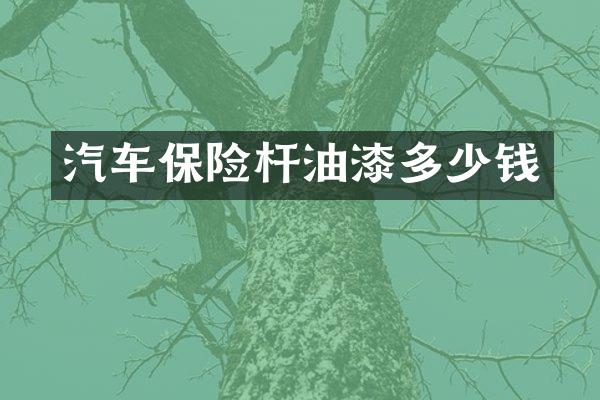 汽车保险杆油漆多少钱