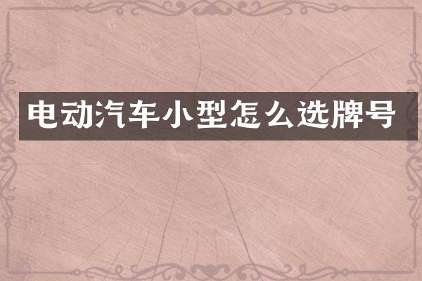 电动汽车小型怎么选牌号