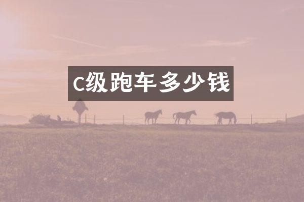 c级跑车多少钱