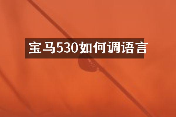 宝马530如何调语言