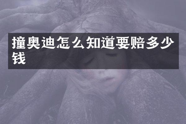 撞奥迪怎么知道要赔多少钱