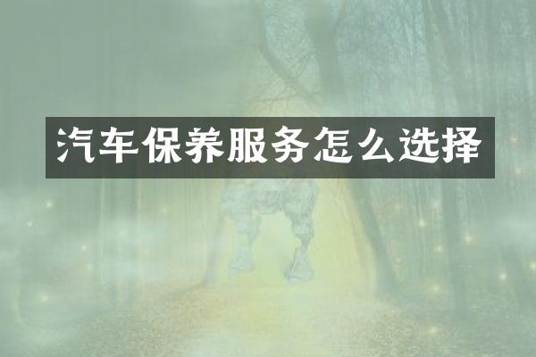 汽车保养服务怎么选择