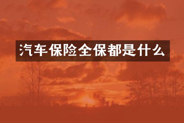 汽车保险全保都是什么
