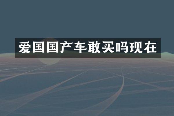 爱国国产车敢买吗现在