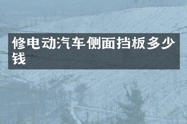 修电动汽车侧面挡板多少钱