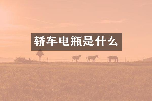 轿车电瓶是什么