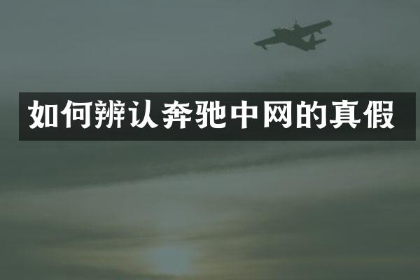 如何辨认奔驰中网的真假