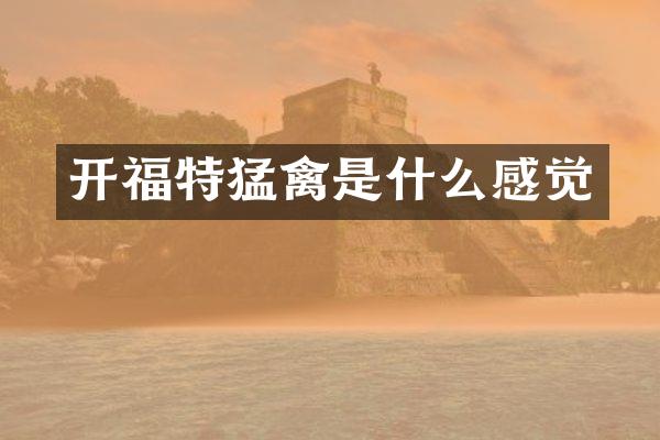 开福特猛禽是什么感觉