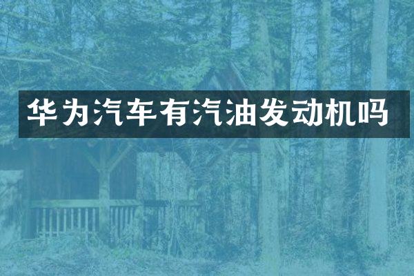 华为汽车有汽油发动机吗