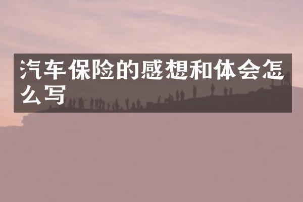 汽车保险的感想和体会怎么写