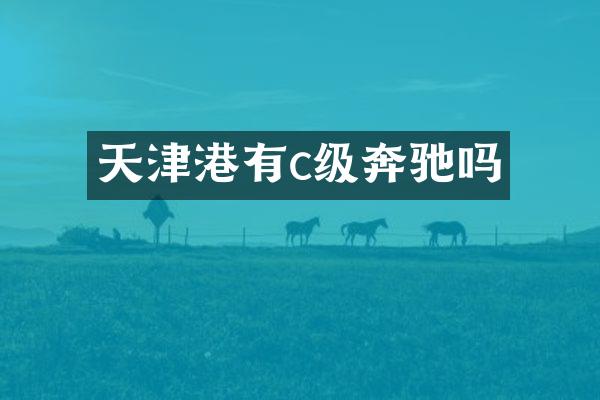 天津港有c级奔驰吗