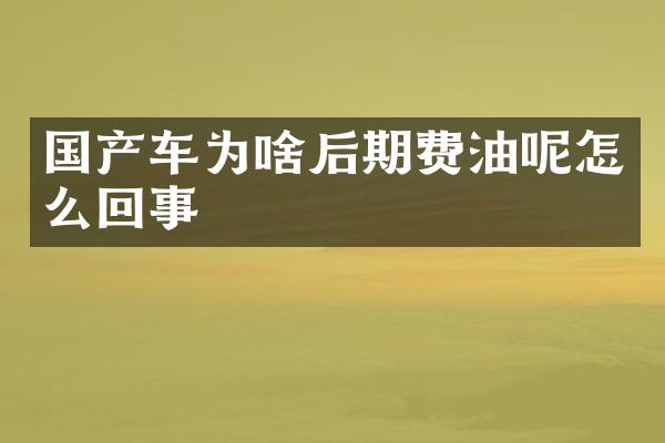 国产车为啥后期费油呢怎么回事