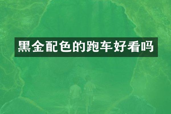黑金配色的跑车好看吗