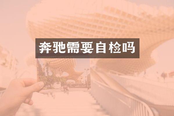 奔驰需要自检吗