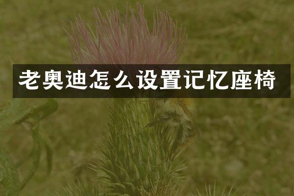 老奥迪怎么设置记忆座椅