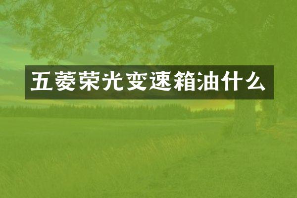 五菱荣光变速箱油什么