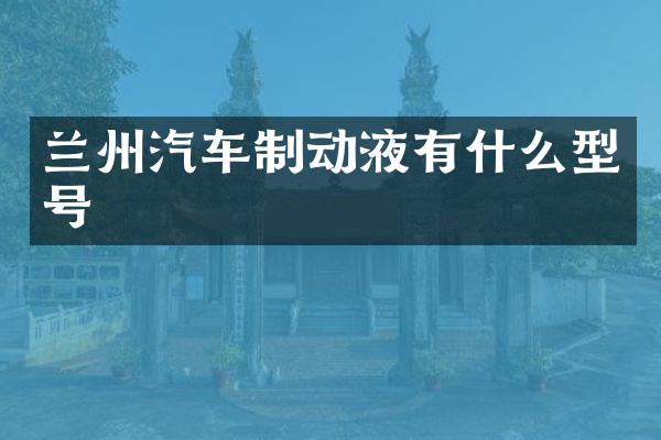 兰州汽车制动液有什么型号