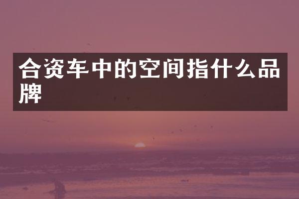 合资车中的空间指什么品牌