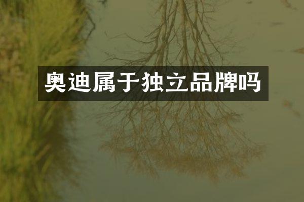 奥迪属于独立品牌吗