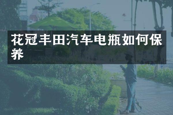 花冠丰田汽车电瓶如何保养