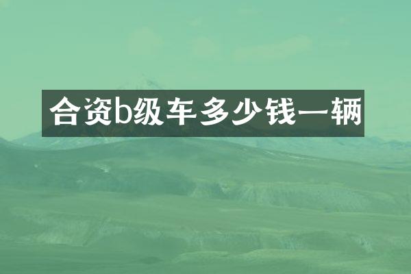 合资b级车多少钱一辆