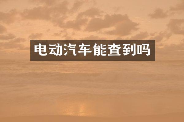 电动汽车能查到吗