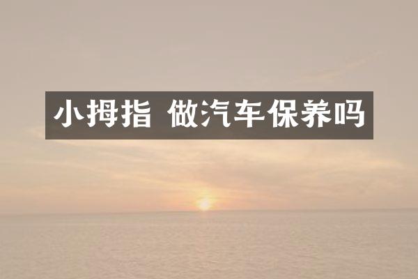 小拇指 做汽车保养吗