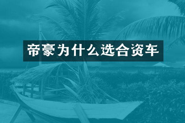 帝豪为什么选合资车
