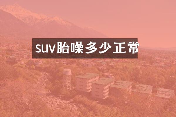 suv胎噪多少正常