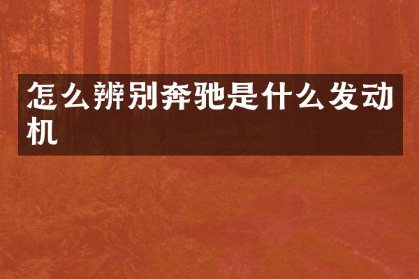 怎么辨别奔驰是什么发动机