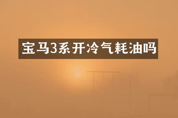 宝马3系开冷气耗油吗