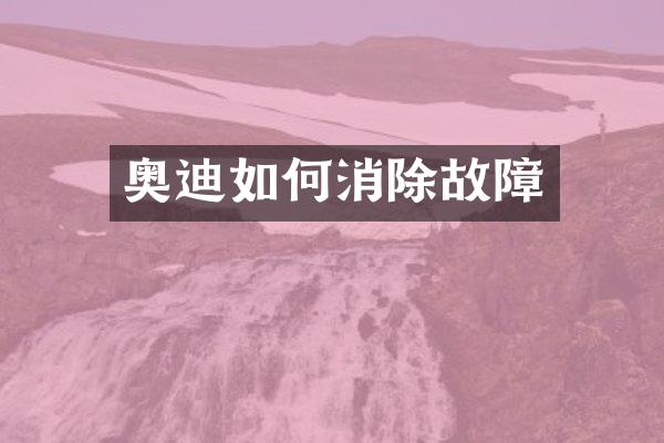 奥迪如何消除故障