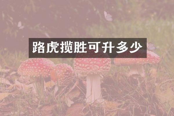 路虎揽胜可升多少