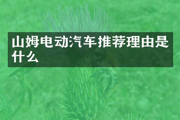 山姆电动汽车推荐理由是什么
