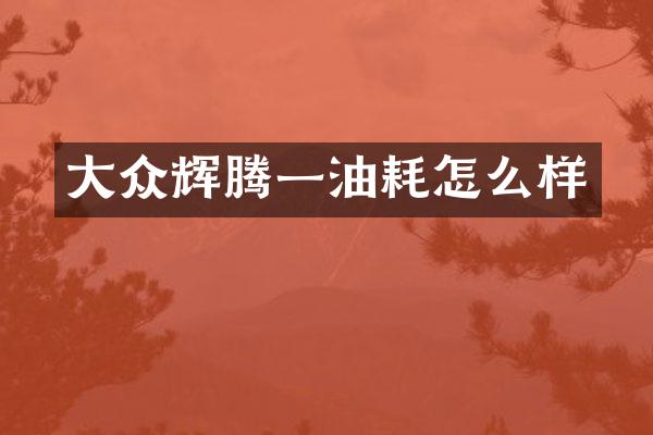 大众辉腾一油耗怎么样