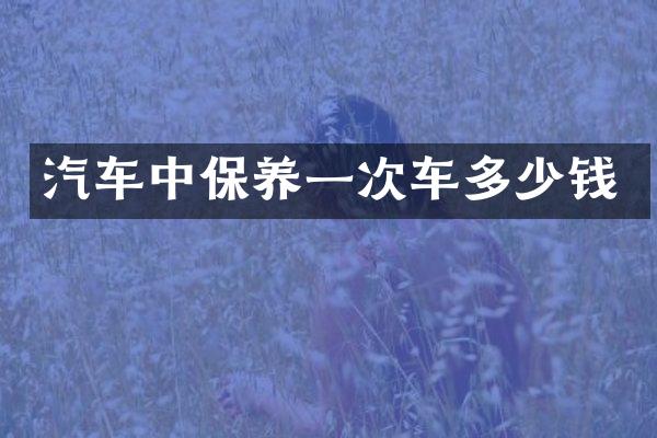 汽车中保养一次车多少钱